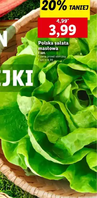 Lidl Polska sałata masłowa oferta