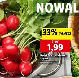 Lidl Polskie rzodkiewki oferta
