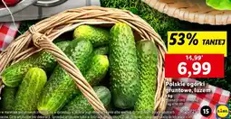 Lidl Polskie ogórki gruntowe oferta