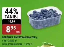 bi1 Borówka amerykańska oferta
