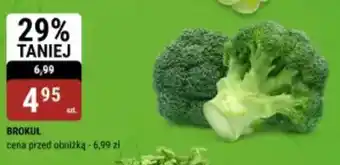 bi1 Brokuł oferta