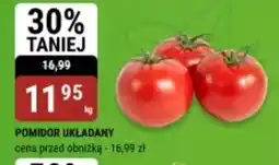 bi1 Pomidor układany oferta
