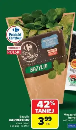 Carrefour Bazylia CARREFOUR oferta