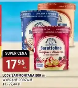 bi1 Lody sammontana oferta