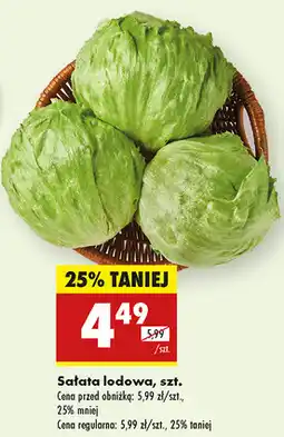 Biedronka Sałata lodowa oferta