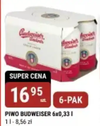 bi1 Piwo budweiser oferta