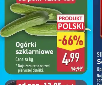 ALDI Ogórki szklarniowe oferta