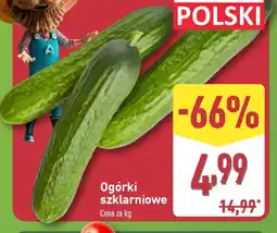 ALDI Ogórki szklarniowe oferta