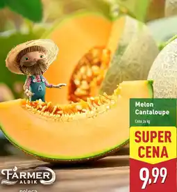 ALDI Melon Cantaloupe oferta