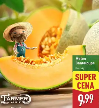 ALDI Melon Cantaloupe oferta