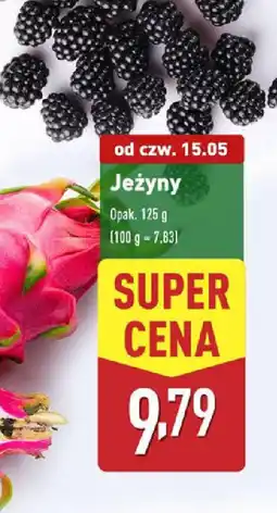 ALDI Jeżyny oferta