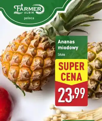 ALDI Ananas miodowy oferta