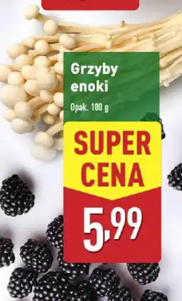 ALDI Grzyby enoki oferta
