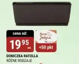 bi1 Doniczka ratolla oferta