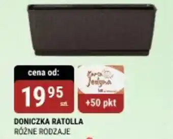 bi1 Doniczka ratolla oferta
