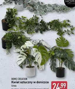 ALDI Kwiat sztuczny w doniczce Home Creation oferta