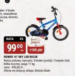 bi1 Rower 16" sky lub bolek oferta