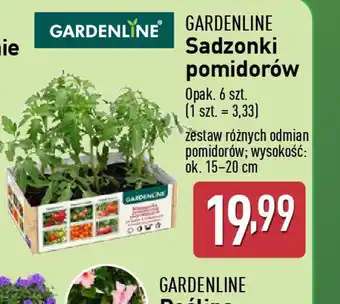 ALDI Sadzonki pomidorów Gardenline oferta