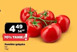 Netto Pomidory gałązka oferta