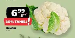 Netto Kalafior oferta