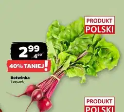 Netto Botwinka pęczek oferta