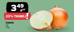 Netto Cebula oferta