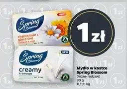 Netto Mydło kremowe Spring Blossom oferta