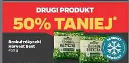 Netto Brokuł różyczki Harvest Best oferta