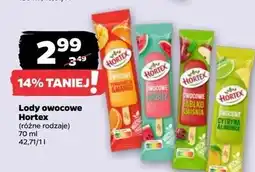 Netto Lody pomarańcza-mango Hortex oferta