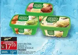 Wafelek Lody zielona budka 1 l różne rodzaje Froneri oferta