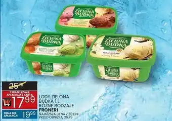 Wafelek Lody zielona budka 1 l różne rodzaje Froneri oferta