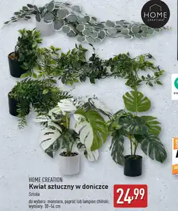 ALDI Kwiat sztuczny w doniczce Home Creation oferta