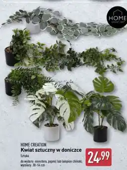 ALDI HOME CREATION Kwiat sztuczny w doniczce oferta