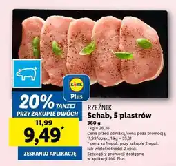 Lidl Schab, 5 plastrów oferta