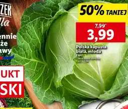 Lidl Polska kapusta biała, młoda oferta