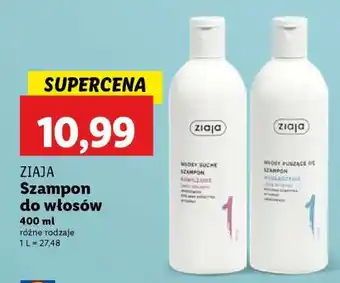 Lidl ZIAJA Szampon do włosów oferta