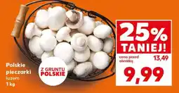 Kaufland Polskie pieczarki luzem 1 kg oferta