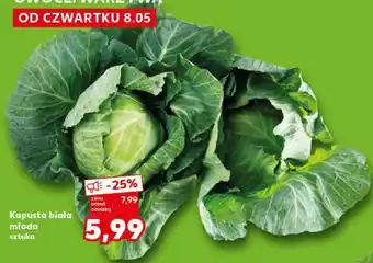 Kaufland Kapusta biała młoda sztuka oferta