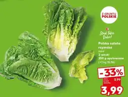 Kaufland Polska sałata rzymska mini oferta