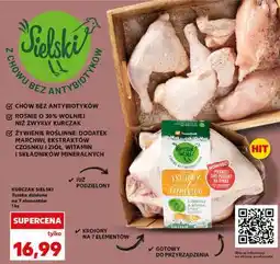 Kaufland KURCZAK SIELSKI Tuszka dzielona na 7 elementów oferta
