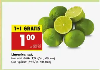 Biedronka Limonka S! oferta