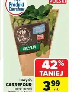 Carrefour Bazylia Carrefour oferta