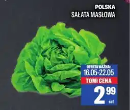 TomiMarkt Polska sałata masłowa oferta