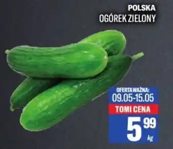 TomiMarkt Polska ogórek zielony oferta