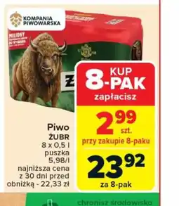 Carrefour Piwo Zubr oferta