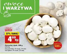 Biedronka Pieczarki oferta