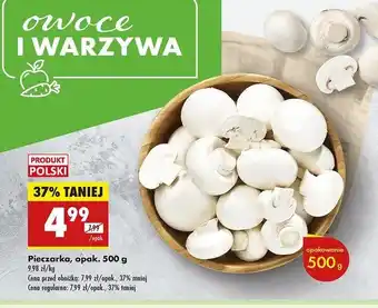 Biedronka Pieczarki oferta