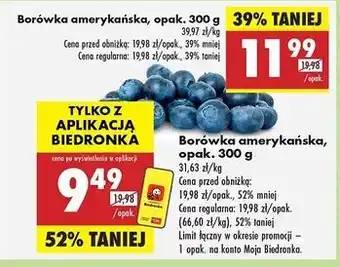 Biedronka Borówki amerykańskie oferta
