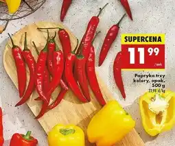 Biedronka Papryka trzy kolory oferta