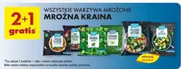 Biedronka Mieszanka wiosenna Mroźna Kraina oferta